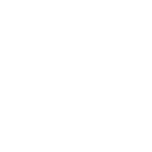 US Army Corp
